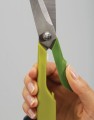 phpThumb_generated_thumbnailjpg3.jpg
