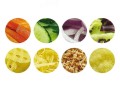 phpThumb_generated_thumbnailjpg2.jpg