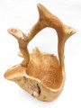 P7193983.JPG
