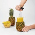 pineapple-e-commerce-4.jpg