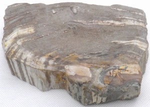 Mydelniczka kamienna skamieniałe drewno 21x15cm MF28