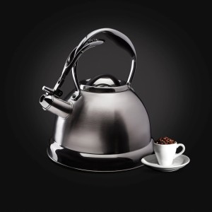 Czajnik Starke Pro Alison 3,0 l srebrny satyna 5903313412988