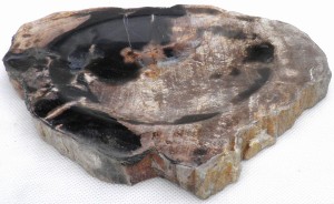 Mydelniczka kamienna skamieniałe drewno 21,5x16cm MF2