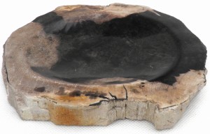 Popielniczka kamienna skamieniałe drewno 19x18cm PF1