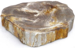 Mydelniczka kamienna skamieniałe drewno 13,5x12cm MF19