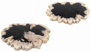 Taca kamienna skamieniałe drewno Zestaw 2 szt. 5908228999873