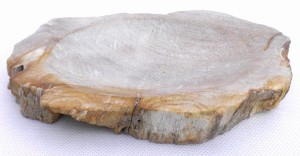 Mydelniczka kamienna skamieniałe drewno 18,5x11cm MF9