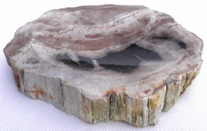 Mydelniczka kamienna skamieniałe drewno 15,5x13,5cm MF16