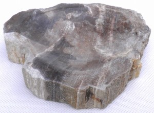 Mydelniczka kamienna skamieniałe drewno 13,5x13cm MF23