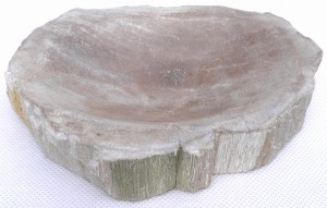 Mydelniczka kamienna skamieniałe drewno 15,5x12cm MF24