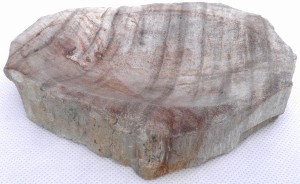 Mydelniczka kamienna skamieniałe drewno 15x12cm MF25