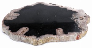 Taca kamienna skamieniałe drewno 28,5 x 21,5 cm 