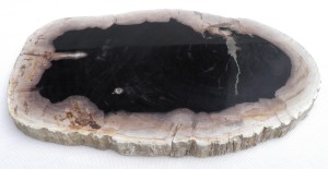 Taca kamienna skamieniałe drewno 30,5 x 19,5 cm