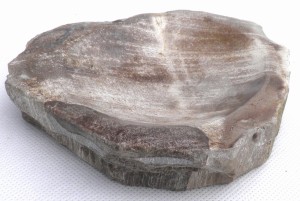 Mydelniczka kamienna skamieniałe drewno 14x14cm MF30