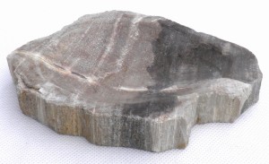 Mydelniczka kamienna skamieniałe drewno 16x13cm MF34