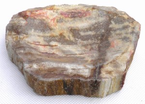 Mydelniczka kamienna skamieniałe drewno 13,5x12,5cm MF35