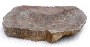 Mydelniczka kamienna skamieniałe drewno 16x9,5cm MF40