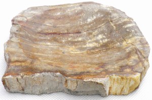 Mydelniczka kamienna skamieniałe drewno 14x12cm MF11