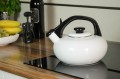 pol_pl_Czajnik-emaliowany-Forchetto-Luna-Bianco-2-5l-bialy-1819_2.jpg