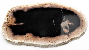 Taca kamienna skamieniałe drewno 31 x 20 cm    