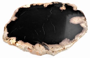 Taca kamienna skamieniałe drewno 28 x 21,5 cm     