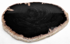 Taca kamienna skamieniałe drewno 33 x 25,5 cm     