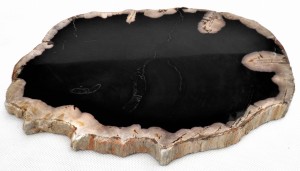 Taca kamienna skamieniałe drewno 28 x 20,5 cm    