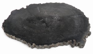 Taca kamienna skamieniałe drewno 34 x 28 cm