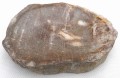 PA290148.JPG