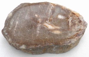 Mydelniczka kamienna skamieniałe drewno 14,5x11cm MF49