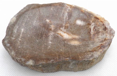 PA290148.JPG