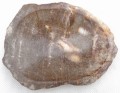 PA290149.JPG