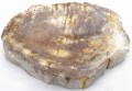 PA290145.JPG