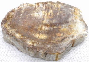 Mydelniczka kamienna skamieniałe drewno 15x11cm MF7