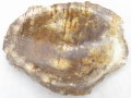 PA290146.JPG