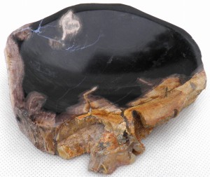 Mydelniczka kamienna skamieniałe drewno 13,5x13cm MF39