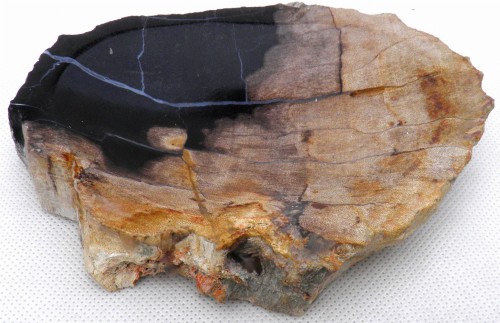 PA290167.JPG