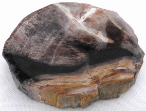 Mydelniczka kamienna skamieniałe drewno 13,5x13cm MF5