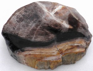 Mydelniczka kamienna skamieniałe drewno 14x13cm MF41