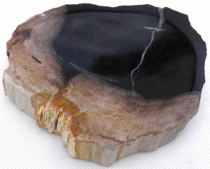 Mydelniczka kamienna skamieniałe drewno 14,5x12cm MF47