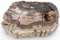 PA290207.JPG