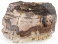 PA290208.JPG