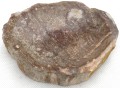 PA290201.JPG