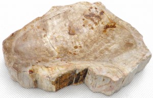 Mydelniczka kamienna skamieniałe drewno 15,5x13cm MF43