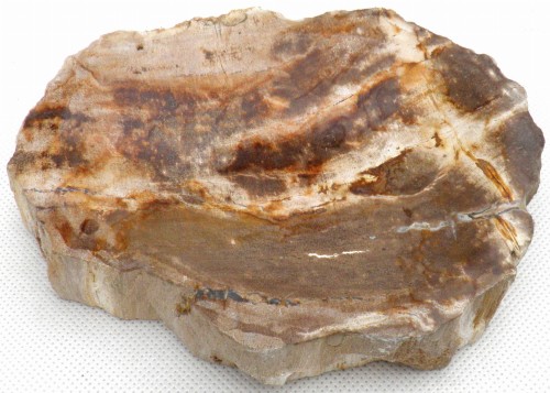 PA290195.JPG