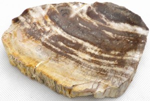 Mydelniczka kamienna skamieniałe drewno 15,5x12cm MF44