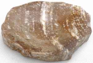 Mydelniczka kamienna skamieniałe drewno 15,5x12cm MF18