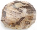 PA290187.JPG
