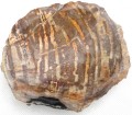 PA290184.JPG