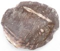 PA290172.JPG